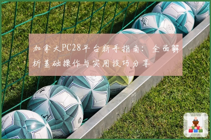 加拿大PC28平台新手指南:全面解析基础操作与实用技巧分享