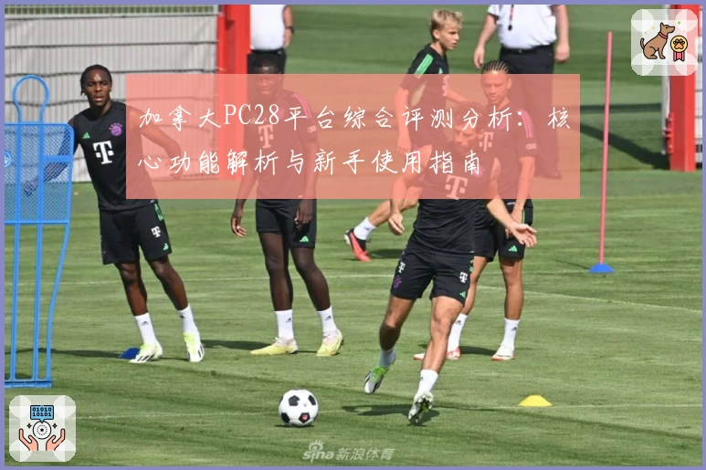 加拿大PC28平台综合评测分析：核心功能解析与新手使用指南