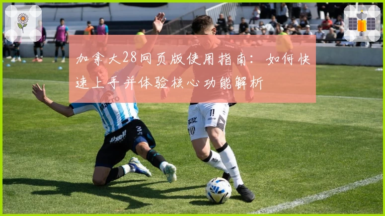 加拿大28网页版使用指南：如何快速上手并体验核心功能解析