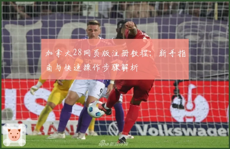 加拿大28网页版注册教程：新手指南与快速操作步骤解析