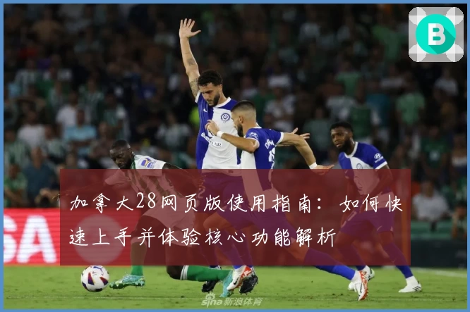 加拿大28网页版使用指南：如何快速上手并体验核心功能解析