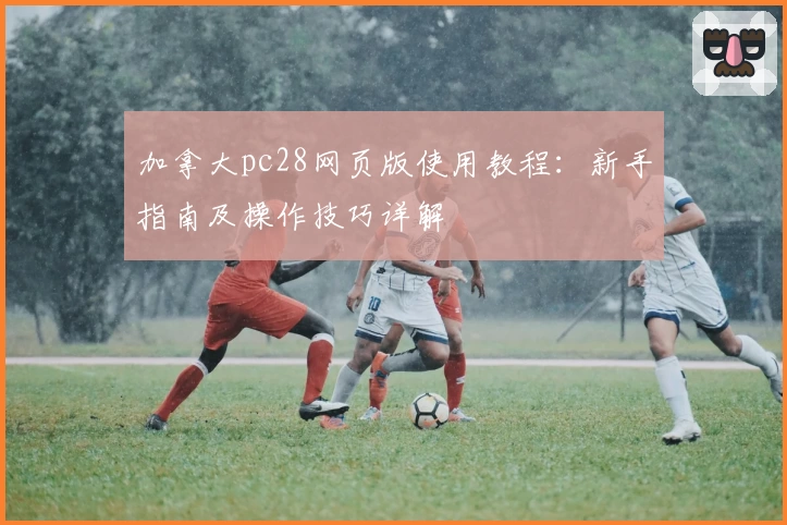 加拿大pc28网页版使用教程：新手指南及操作技巧详解