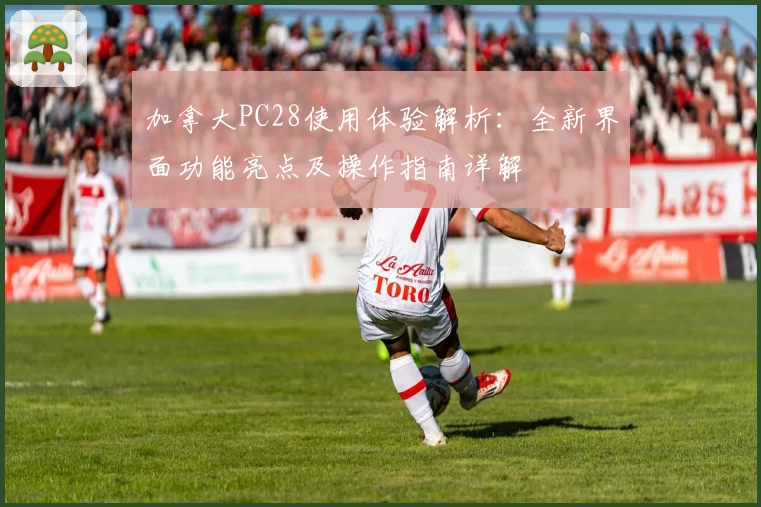 加拿大PC28使用体验解析：全新界面功能亮点及操作指南详解