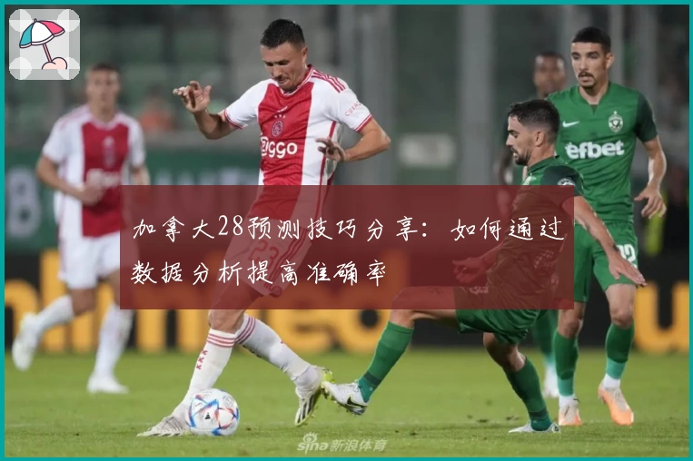 加拿大28预测技巧分享：如何通过数据分析提高准确率