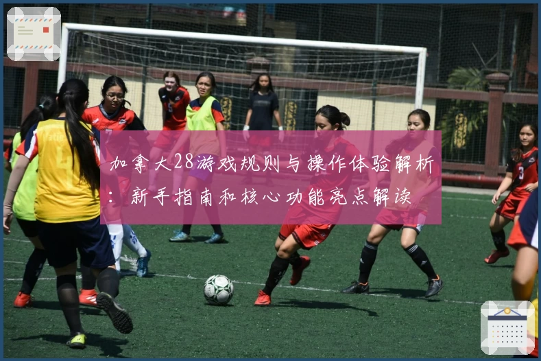 加拿大28游戏规则与操作体验解析：新手指南和核心功能亮点解读