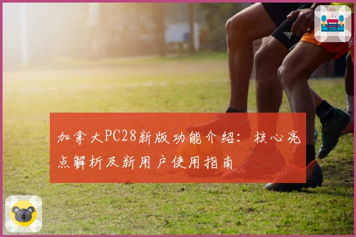 加拿大PC28新版功能介绍：核心亮点解析及新用户使用指南