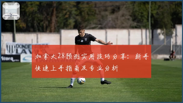 加拿大28预测实用技巧分享：新手快速上手指南及专业分析