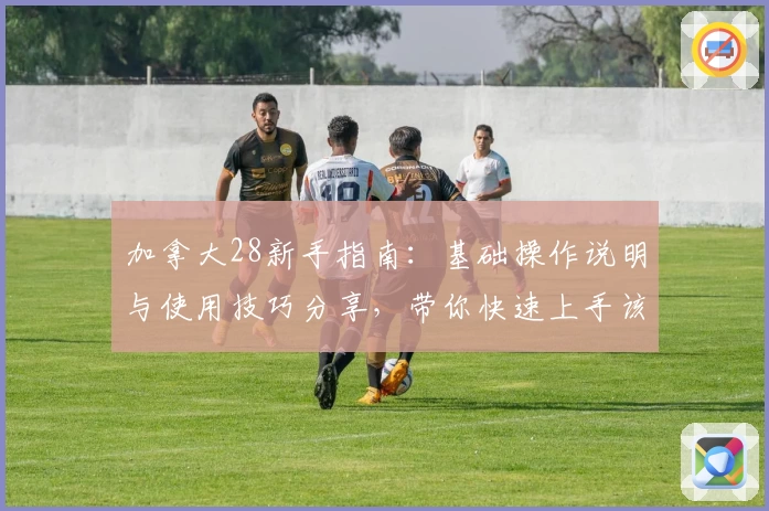 加拿大28新手指南：基础操作说明与使用技巧分享，带你快速上手该平台