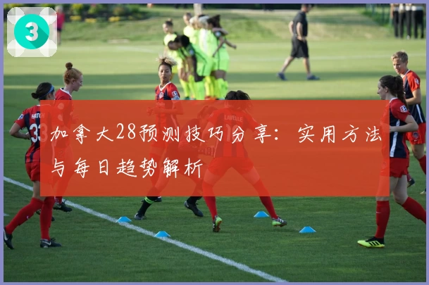 加拿大28预测技巧分享：实用方法与每日趋势解析