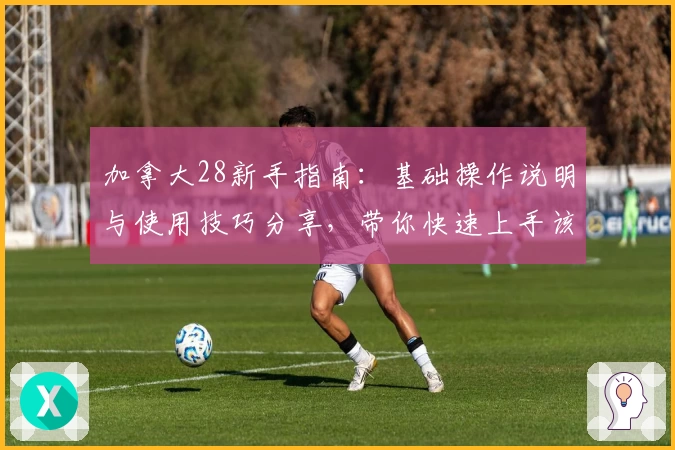 加拿大28新手指南：基础操作说明与使用技巧分享，带你快速上手该平台