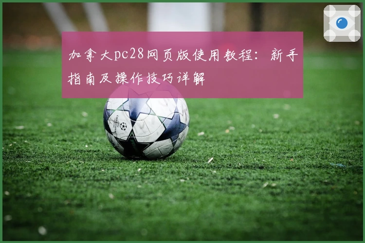 加拿大pc28网页版使用教程：新手指南及操作技巧详解