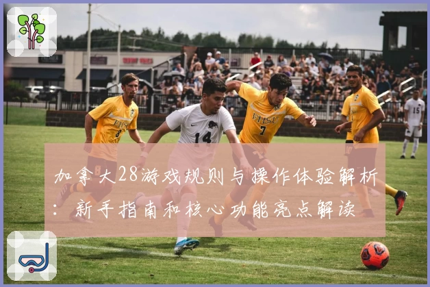 加拿大28游戏规则与操作体验解析：新手指南和核心功能亮点解读