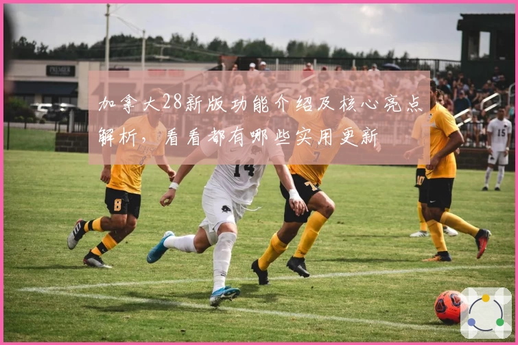 加拿大28新版功能介绍及核心亮点解析,看看都有哪些实用更新